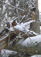 2007.01.18 M1, 200 px