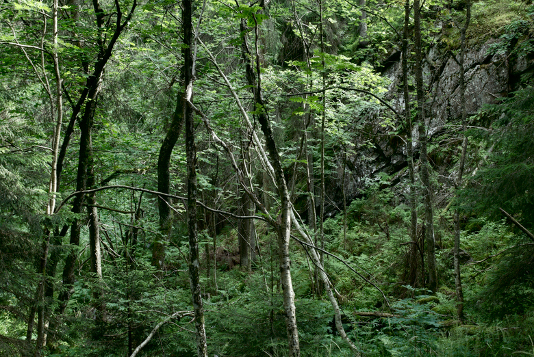 2007.07.21 M4B, 780 px