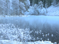 2006.12.21_18, 200 px