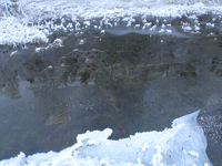 2006.12.25 M1, 200 px