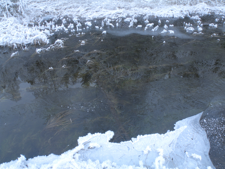 2006.12.25 M1, 780 px