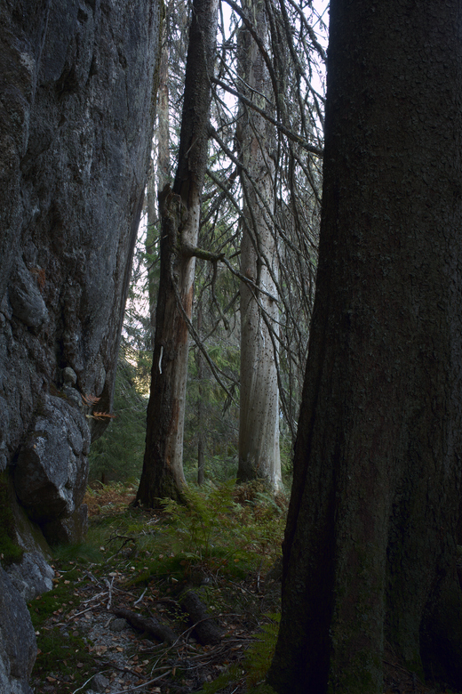 2009.10.02 M2.2, 780 px